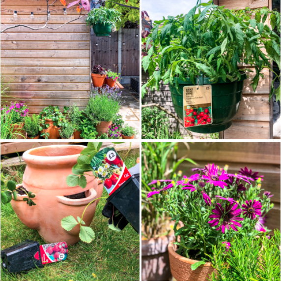 Screen Shot 2019-06-04 at 11.31.28