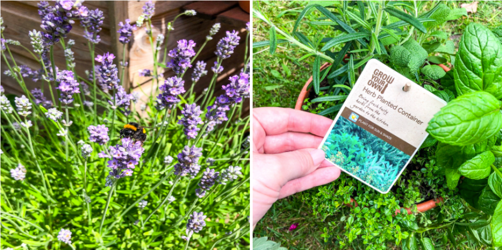 Screen Shot 2019-06-04 at 16.51.03