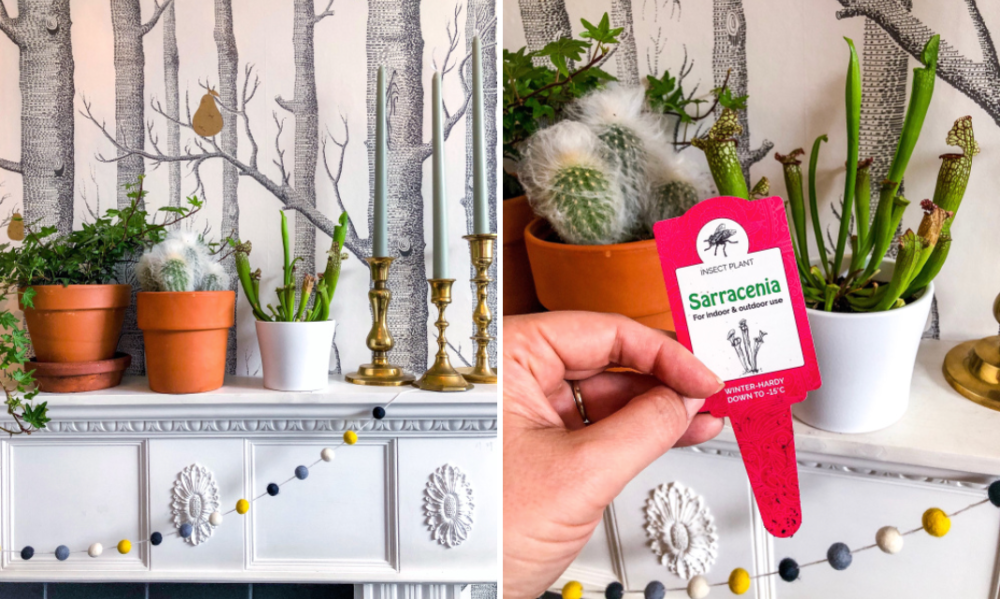 Screen Shot 2019-06-04 at 16.51.22